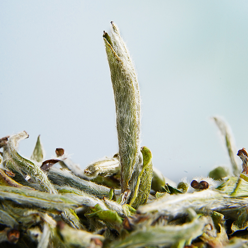 正宗福鼎白茶2022新茶明前特级头采福鼎白毫银针芽春茶叶散装500g高清大图