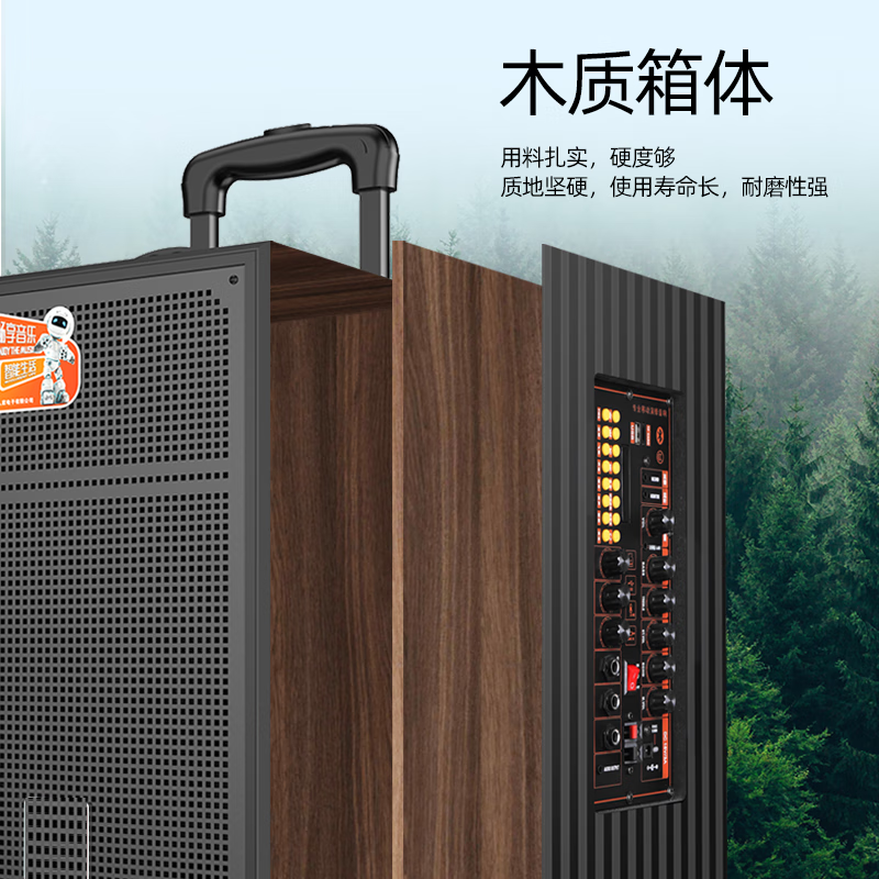 山水音响广场舞拉杆音响大音量高档三分频音箱 便携式户外专业演出蓝牙音响 家用K歌重低音 3101(BY)/个