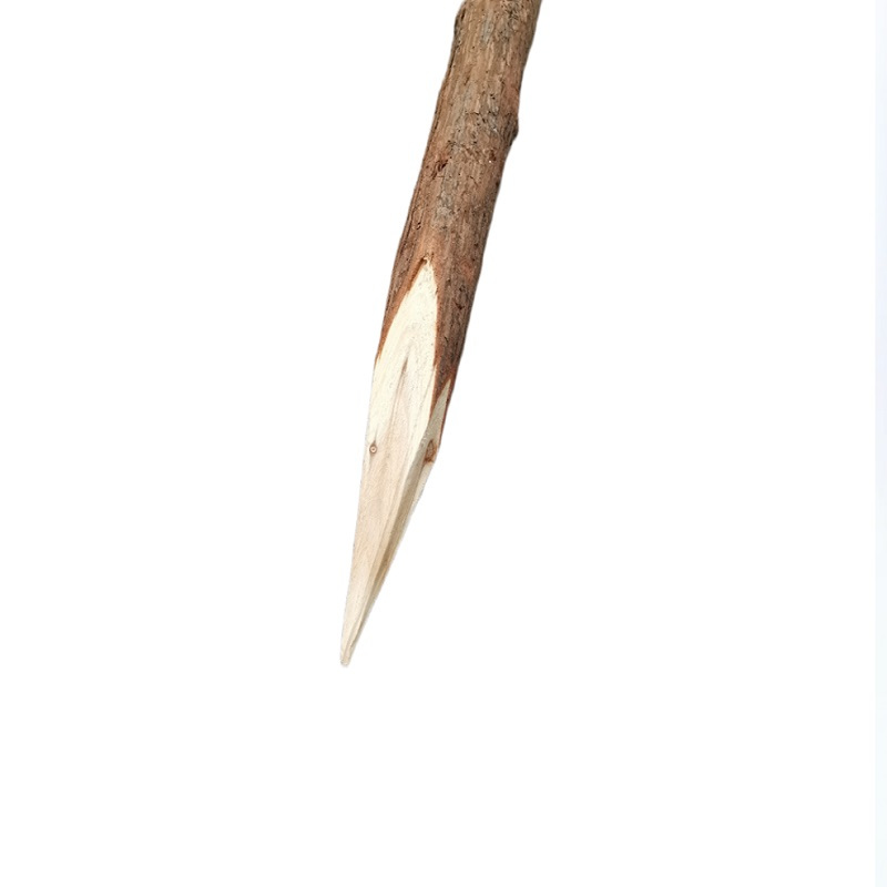 黄麓 防洪木桩 80*2000mm 根