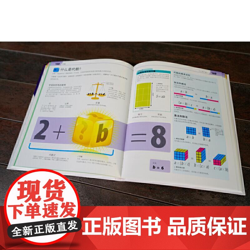 ** DK英国中小学生STEAM课程读 数学很简单 彩色绘本 数学思维启蒙训练中小学生课外科普阅读经典百科全书 少儿科普高清大图