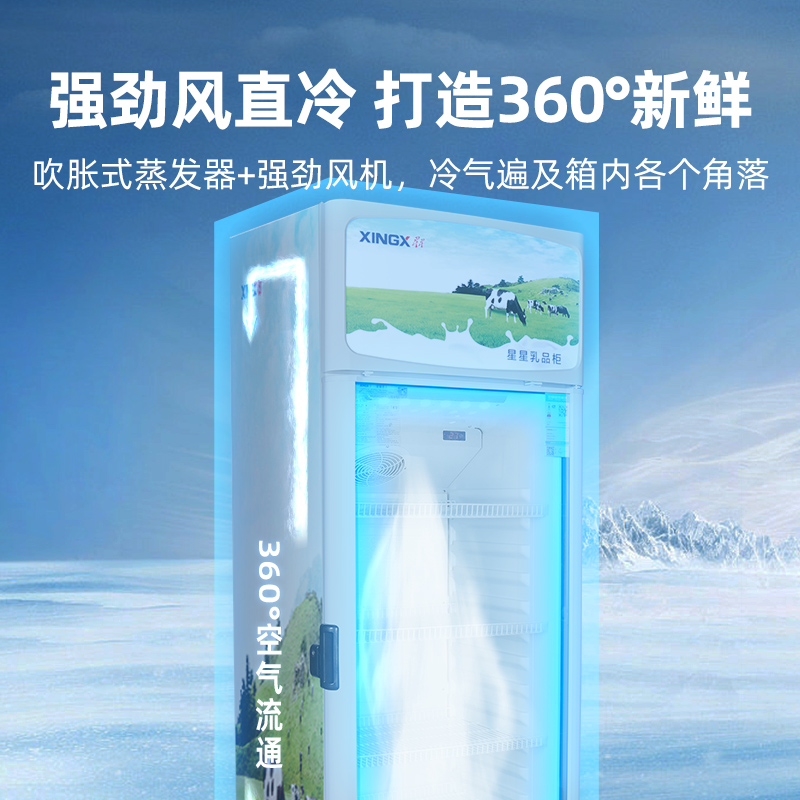星星(XINGX)LSC-248FDM-TY乳品柜 展示柜 饮料柜 冷藏柜 商用立式冷柜 玻璃门 超市大容量冰箱高清大图