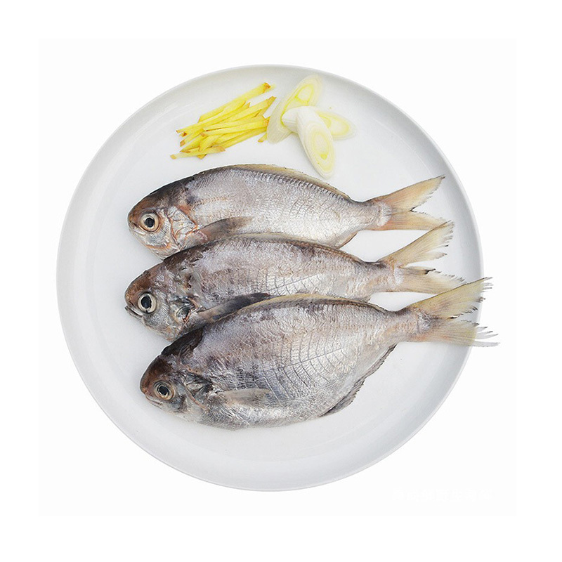 农聚源肉鲳鱼1斤47条新鲜海鲜水产产发qq