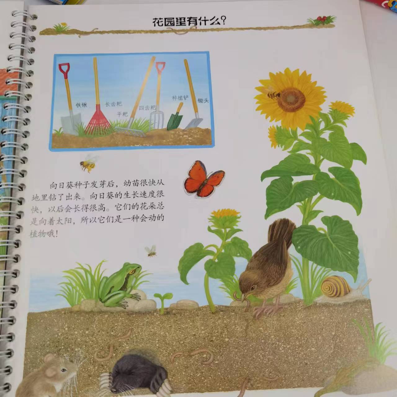 [正版]妙趣科学儿童版 38幼儿园 我的第一套科学启蒙书 德国科普童书冠军 风靡欧洲16年 销量超1900万册 北京科高清大图