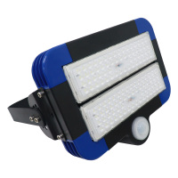 鼎晟丰(DSF)DSFGZ-936T-100 220V 100W IP66 LED LED智睿全维智能泛光灯 (计量单位:个)