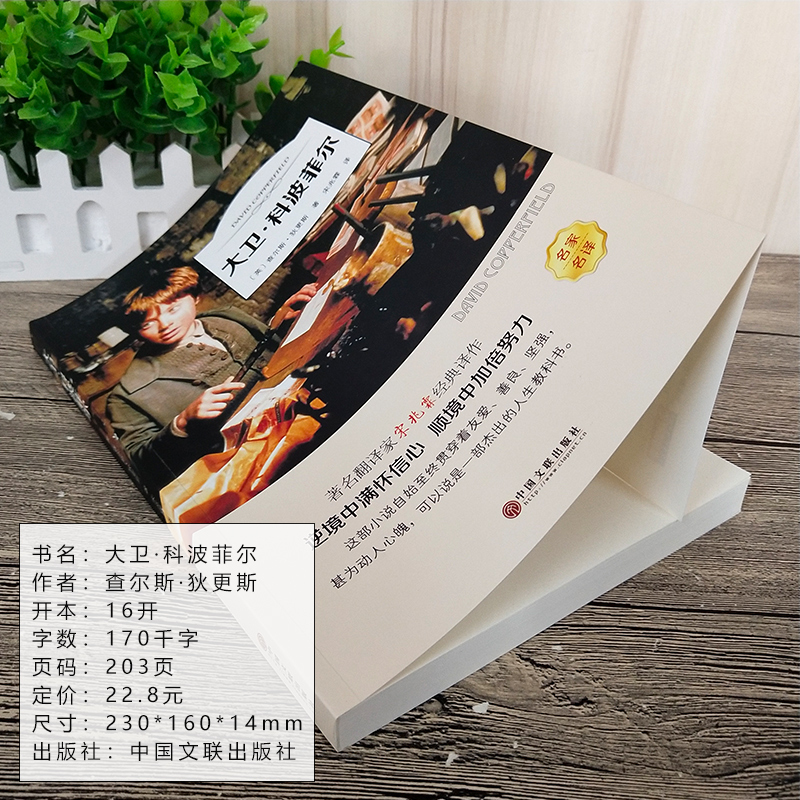 大卫.科波菲尔 [正版]有声伴读-大卫.科波菲尔(英)查尔斯.狄更斯 著名翻译家宋兆霖经典译作逆境中满怀信心.顺境中加倍