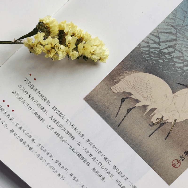 醉染图书陪孩子品词/俞陛云9787559630773图片