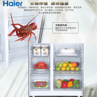 海尔（Haier）656升海尔冰箱对开门风冷无霜家用冰箱双变频双开门双温双控超大空间BCD-656WDPT