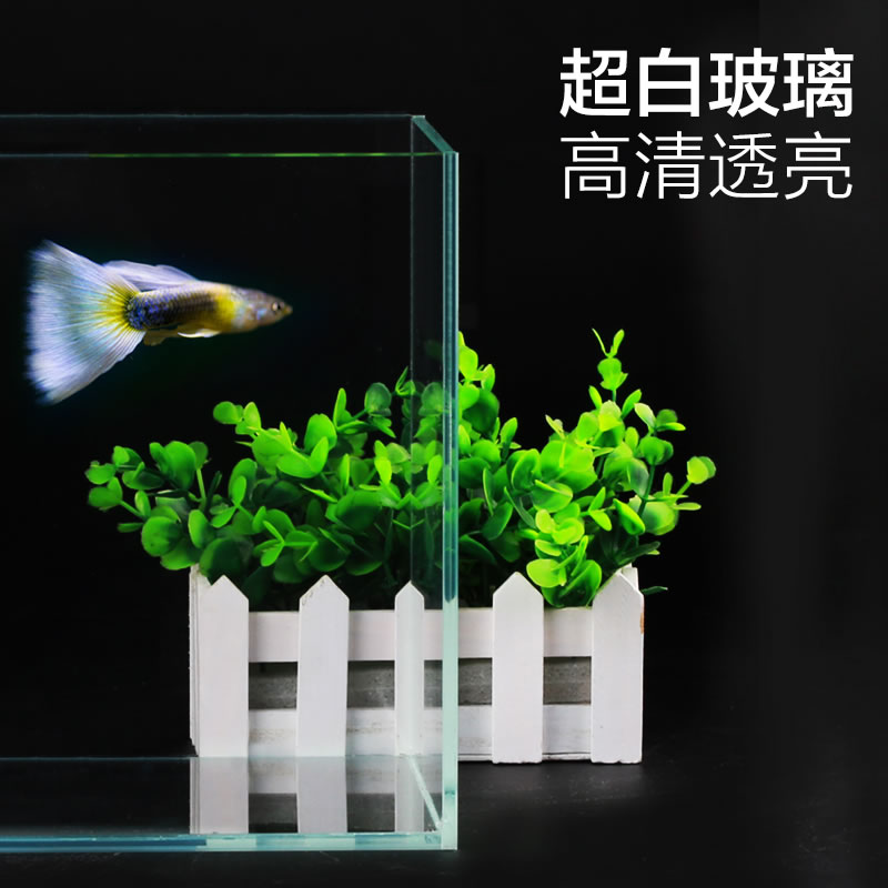 鱼缸小型超白玻璃热带水族箱长方形生态水缸中型客厅金鱼缸高清大图