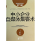 [M]中小企业自媒体集客术-9787506072076