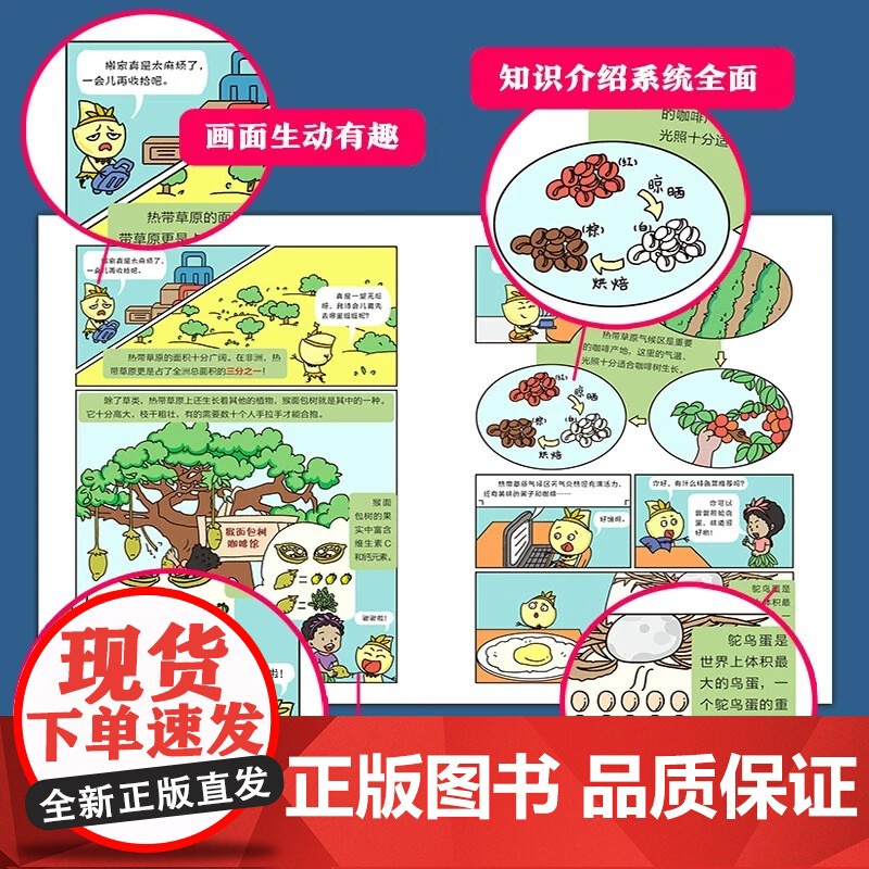 儿童趣味大科学自然现象小百科绘本全10册 幼儿园儿童绘本故事书阅读 一个孩子的科学科普启蒙 让孩子学会观察自然感受自然高清大图