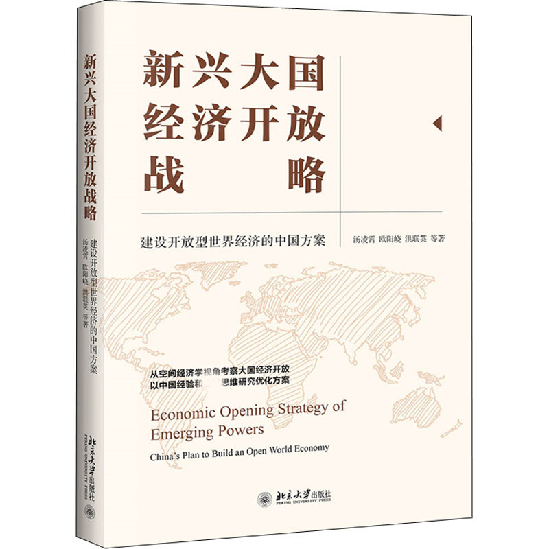 新兴大国经济开放战略(建设开放型世界经济的中国方案)