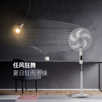 艾美特落地扇FS4093R
