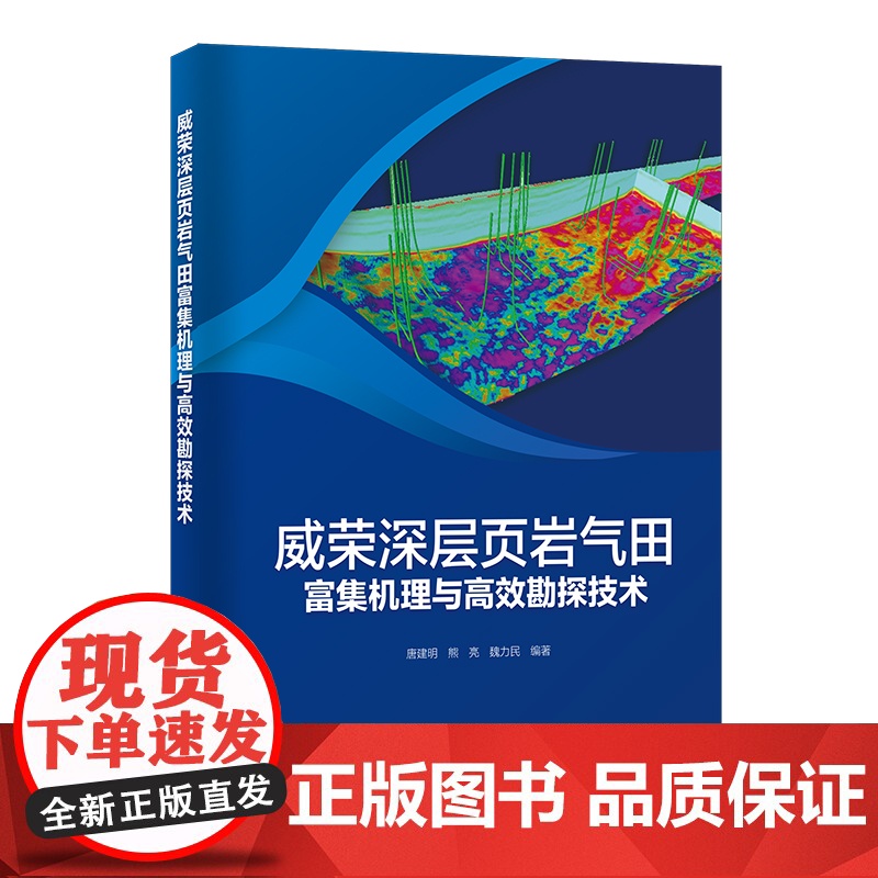 [店]威荣深层页岩气田富集机理与高效勘探技术 深层页岩油,深层页岩气,砂岩油 气田,油气聚集,研究,内江,砂岩油气田高清大图