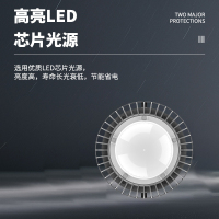 明特佳-Mintega FPD8504Y-L100 LED应急平台灯 100W 灰色 (单位:套)