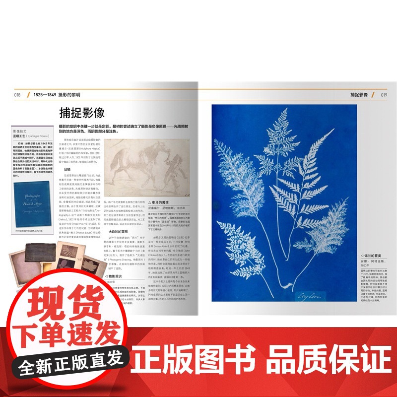 DK 伟大的摄影 经典摄影简史 精彩解读摄影师拍摄手法风格大师 牛人 拍照数码单反手机教程 大师镜头 欧美摄影艺术书D摄高清大图