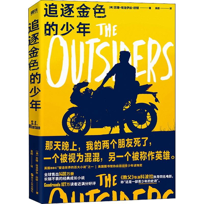 醉染图书追逐金色的少年9787213103810高清大图