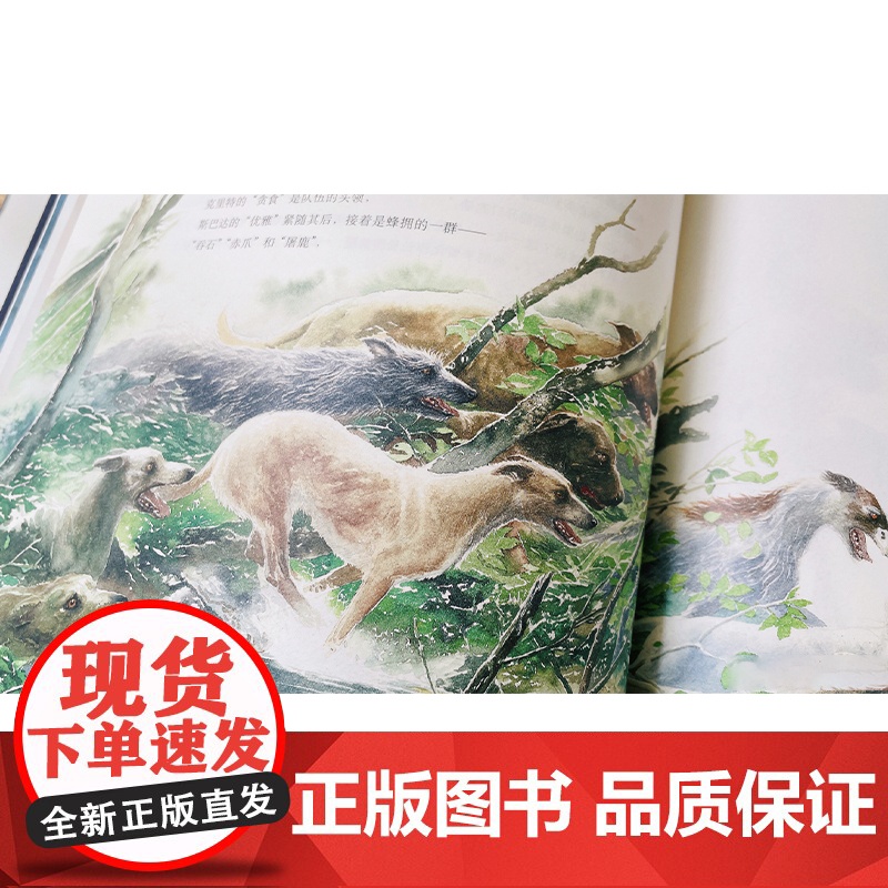 万物变形记 托尔金指环王画师艾伦李插画版变形记奥维德希腊罗马神话上海人民出版社外国文学绘本艺术高清大图