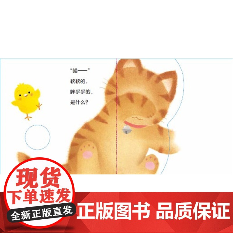 小鸡球球触感玩具书触摸书洞洞认知书和小鸡球球一起玩启蒙早教发声书宝宝成长绘本系列撕不烂翻翻书全套5册儿童书籍高清大图