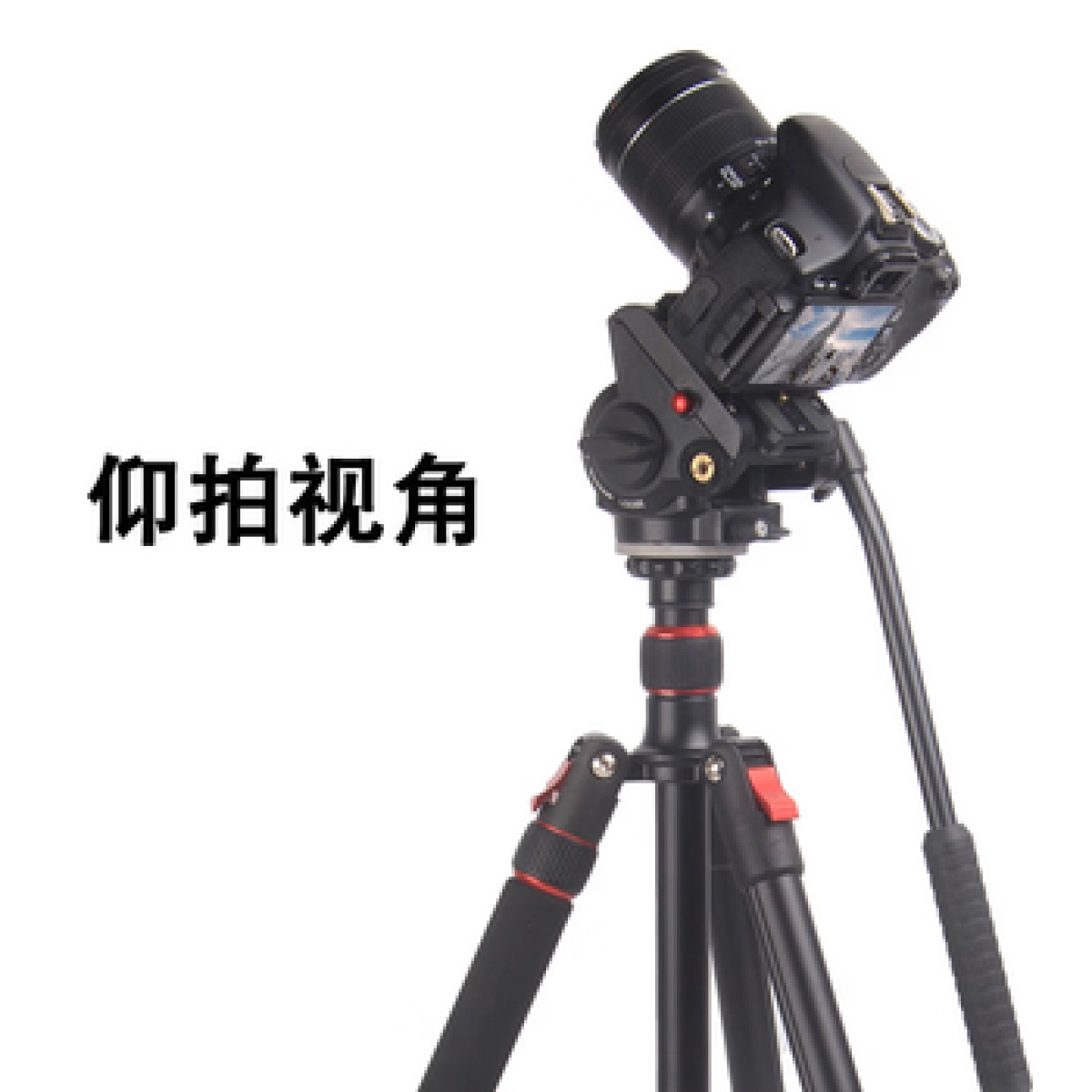 淘行者 TXZ-XP19S 伸缩支架 摄像机配件 (计价单位:个) 黑色
