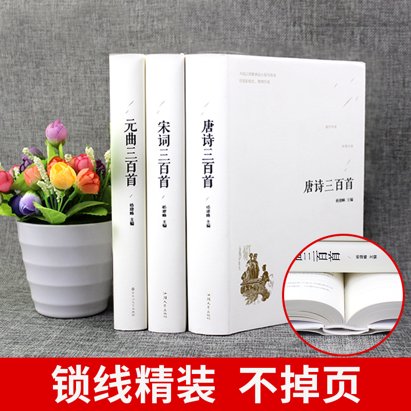 [正版]精装完整版唐诗宋词元曲三百首全集初中生中国经典古诗词300首鉴赏辞典译文详析赏析注释全套全解小学生必背古诗书籍高清大图