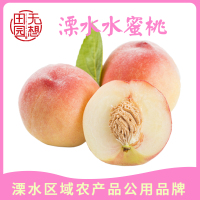 【溧水水蜜桃】水蜜桃鲜果8个 6两左右 约5斤 当季水果甜美多汁