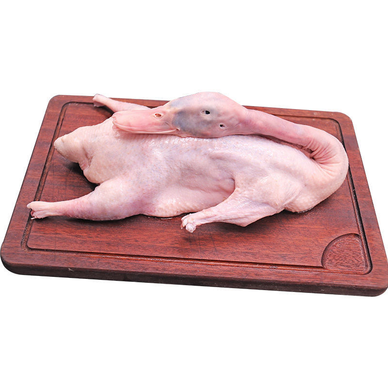 赛卡伊 鸭子 正宗农村散养鸭子新鲜现杀鸭肉白条鸭批发 新鲜嫩鸭[一只