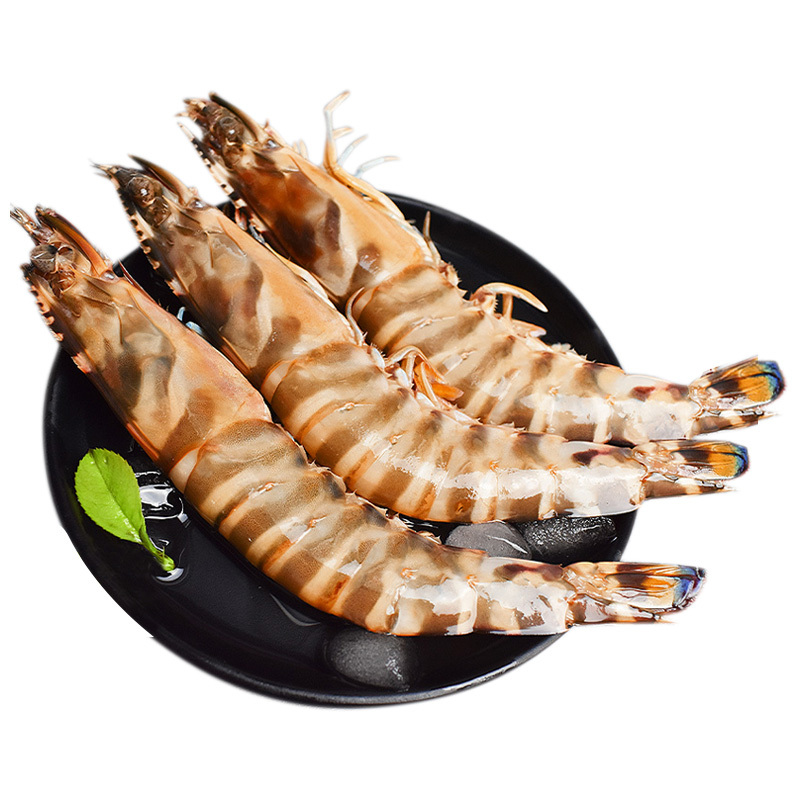 鲜活大明虾46只斤鲜活九节虾竹节虾斑节虾海鲜水产