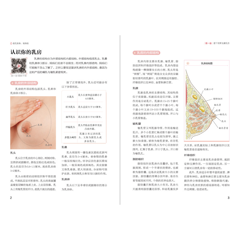 [正版图书]催乳按摩:视频版 催乳按摩 全视频讲解的催乳按摩书产后42天坐月子食谱催乳按摩方法大全金牌月嫂42天坐月子高清大图