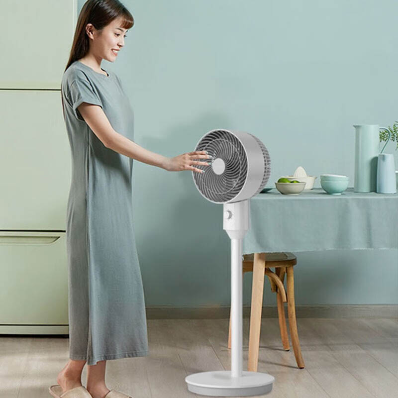 艾美特(Airmate) 机械落地循环扇 FA18-X12高清大图