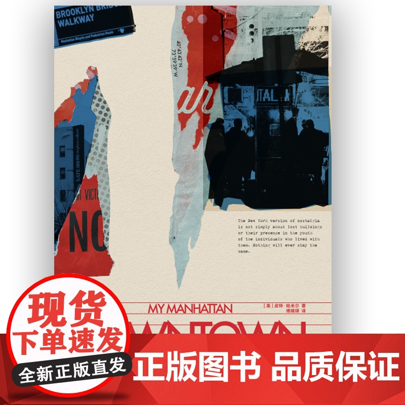 纽约下城/纽约巨像 普利策奖得主科尔森怀特黑德书写纽约流动的盛宴传奇纸媒记者皮特哈米尔著作纪实文学城市史高清大图