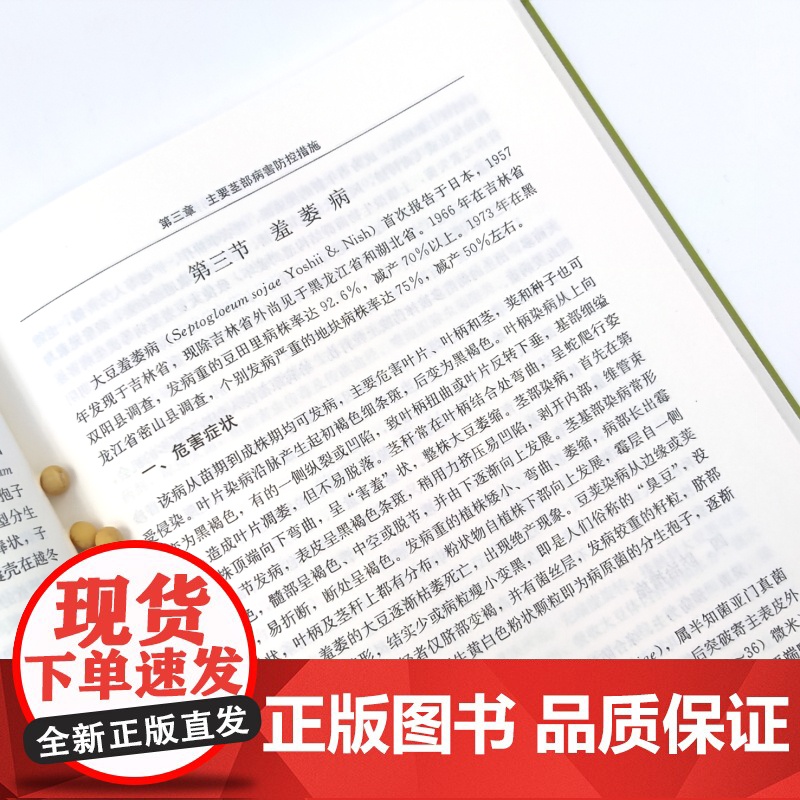 大豆主要病虫害综合防控技术 9787109292567 产业技术体系 病虫草害 种植技术 农业科技 豆油 复合种植 油料高清大图
