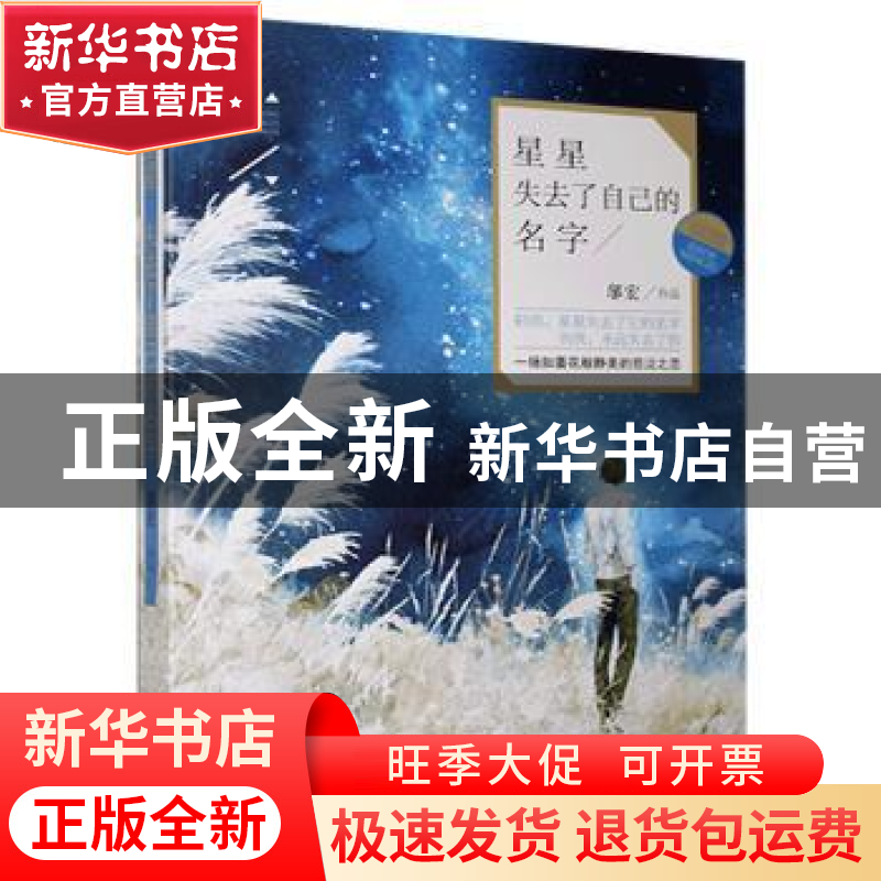 正版 星星失去了自己的名字 邬宏 贵州人民出版社 9787221129536