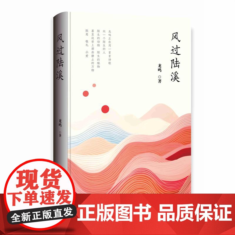 精装]风过陆溪 社会生活的感悟 寄托对生活的冀望 剖析个人理想和内心世界艺术性文学性 浓厚的乡土气息诗歌作品集广东人民出高清大图