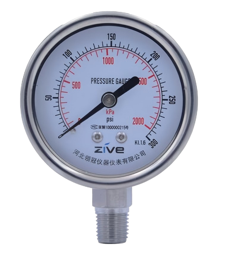 ZIVE 304全不锈钢压力表 ZMG-OSB14(下单备注轴向、径向)个