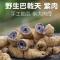 巴戟天 抽芯老巴戟肉 煲汤泡酒料男性滋补鸡肠风干货 巴戟天250克[小]