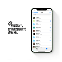 Apple iPhone 12 128G 绿色 移动联通电信5G全网通手机