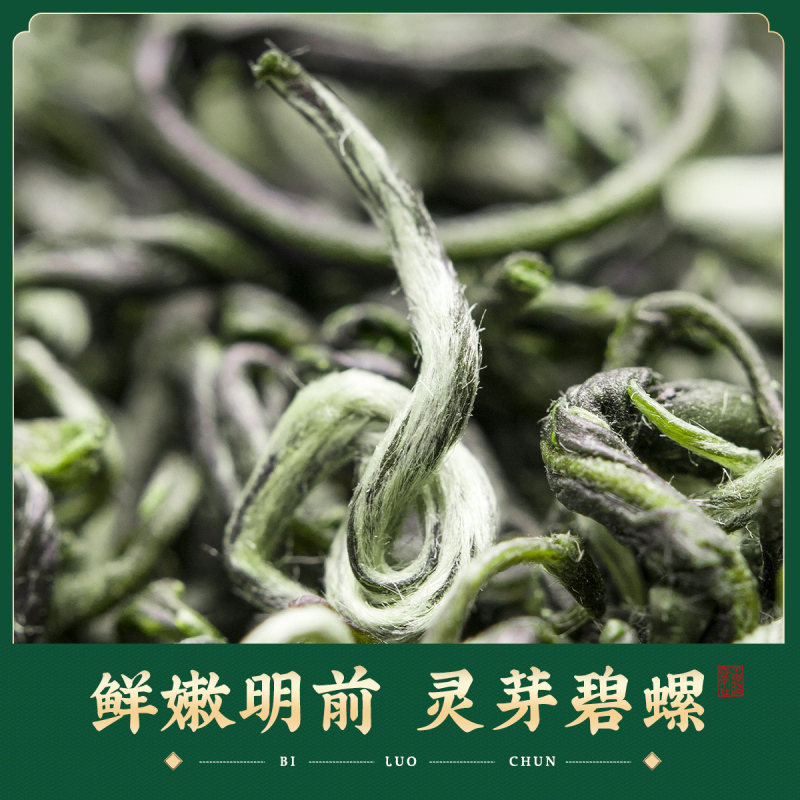 醉然香茶叶绿茶 明前特级碧螺春新茶高山绿茶嫩芽茶叶礼盒125g*4罐