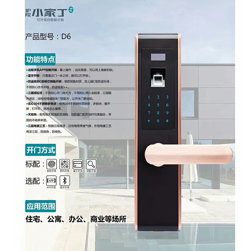 顺胜 小家丁智能指纹密码锁 D6