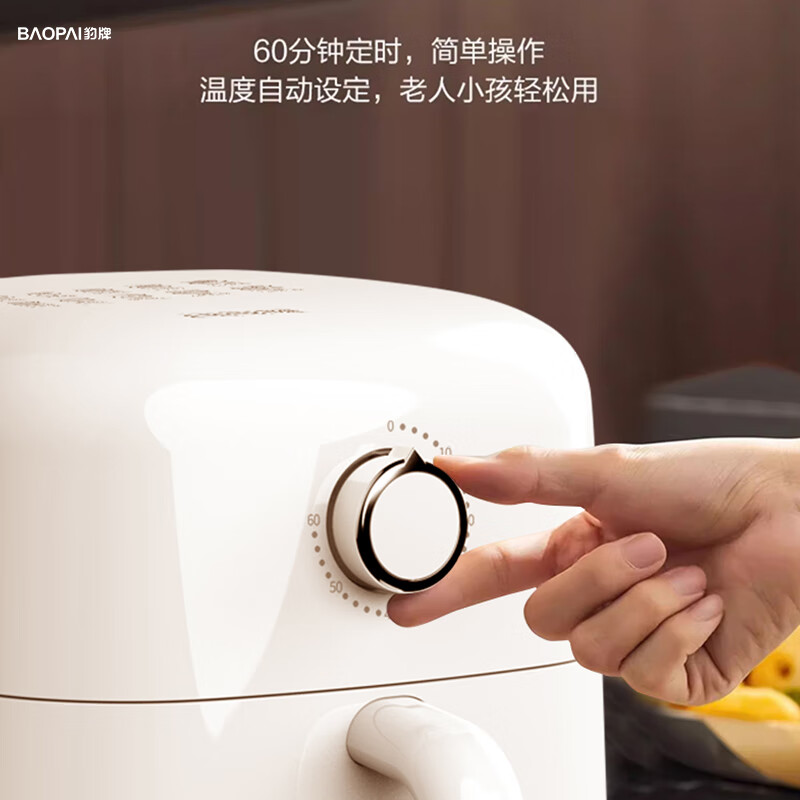豹牌空气炸锅BP-AF282高清大图