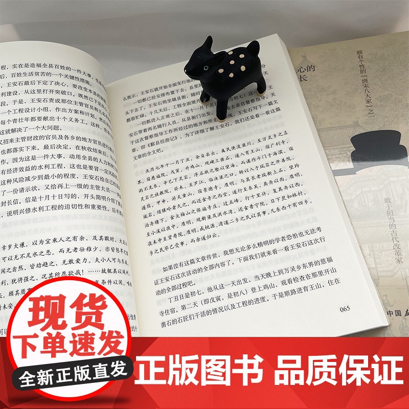 大宋宰相王安石 领略千古名相的智慧权谋 历史人物传记 着重还原了王安石在经学、易学、诗文等方面的地位和贡献高清大图