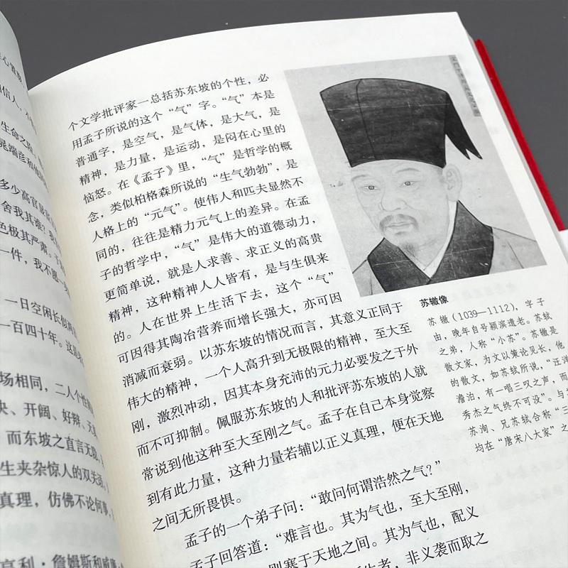 [正版]苏东坡传 精装典藏版 林语堂 国学大师林语堂逝世40周年纪念版 苏轼传人物传记名人自传 重庆书店图书专营店高清大图