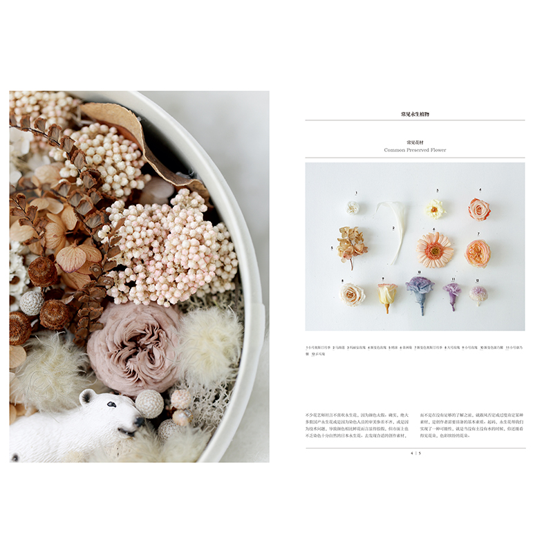 [正版]在家森呼吸系列(套装3册) 室内绿植手册+干燥植物手册+永生植物手册 茹茹萍 著 家居生活 家居装扮风格高清大图