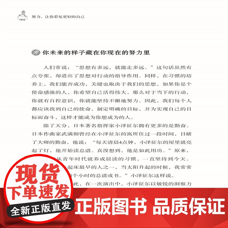 努力,让你看见更好的自己 现在的你努力,未来才会与众不同 自我激励励志书籍高清大图