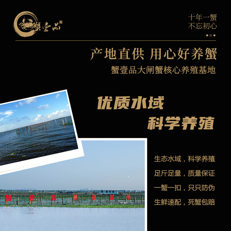 [礼券]蟹壹品阳澄湖大闸蟹礼券2088型 公蟹4.0两/只 母蟹3.0两/只 5对10只 去绳净重螃蟹礼盒 礼品