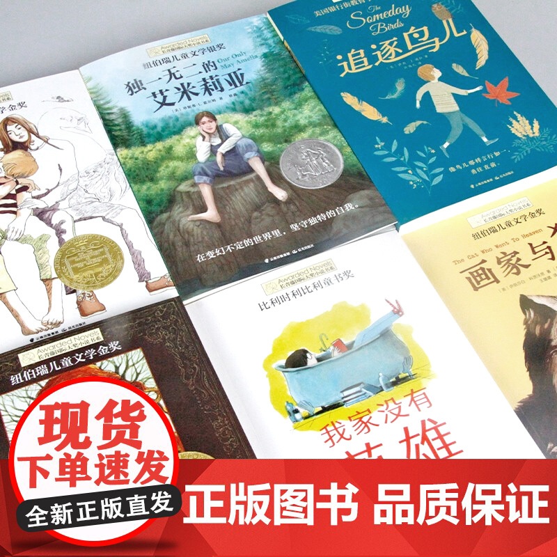 长青藤国际大奖小说书系 第9-13合辑 追梦的孩子五年级的烦恼适合小学三四五六年级小学生课外阅读书籍儿童文学寒暑假少儿读高清大图