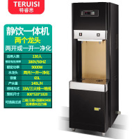 特睿思(TERUISI)直饮机 办公室净化水开水器 商用学校工厂烧水机大型不锈钢直饮水机RO反渗透饮水机AGK-90L