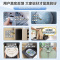 美的(Midea)波轮洗衣机全自动 专利免清洗十年桶如新 立方内桶 水电双宽 洗脱一体 10KG公斤丨健康除螨洗MB10