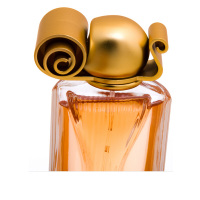 纪梵希(GIVENCHY)金色女神金色年华女士香水淡香精 花香调 100ml