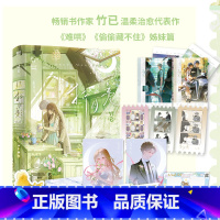 【正版】折月亮2完结篇 小说 新增万字番外 竹已 难哄偷偷藏不住作者 校园言情青春文学实体书籍 磨不铁月