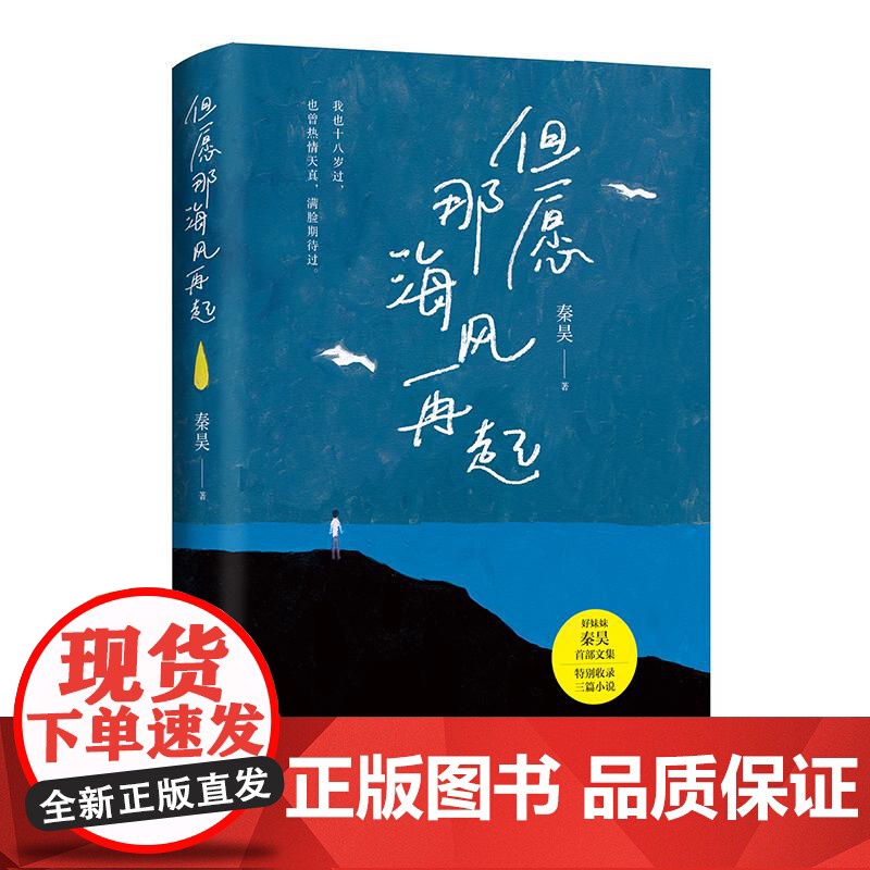 但愿那海风再起 好妹妹秦昊文集工作职场家乡梦想现当代文学散文随笔书籍高清大图